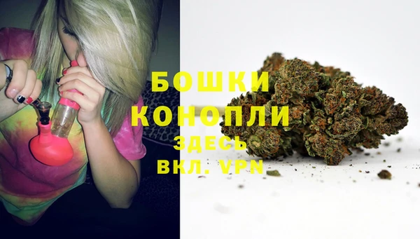 амфетамин Белокуриха